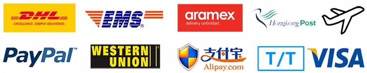 Shipment and Payment Details