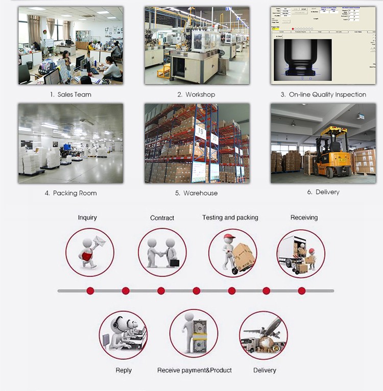 Steps and Processes Workflow
