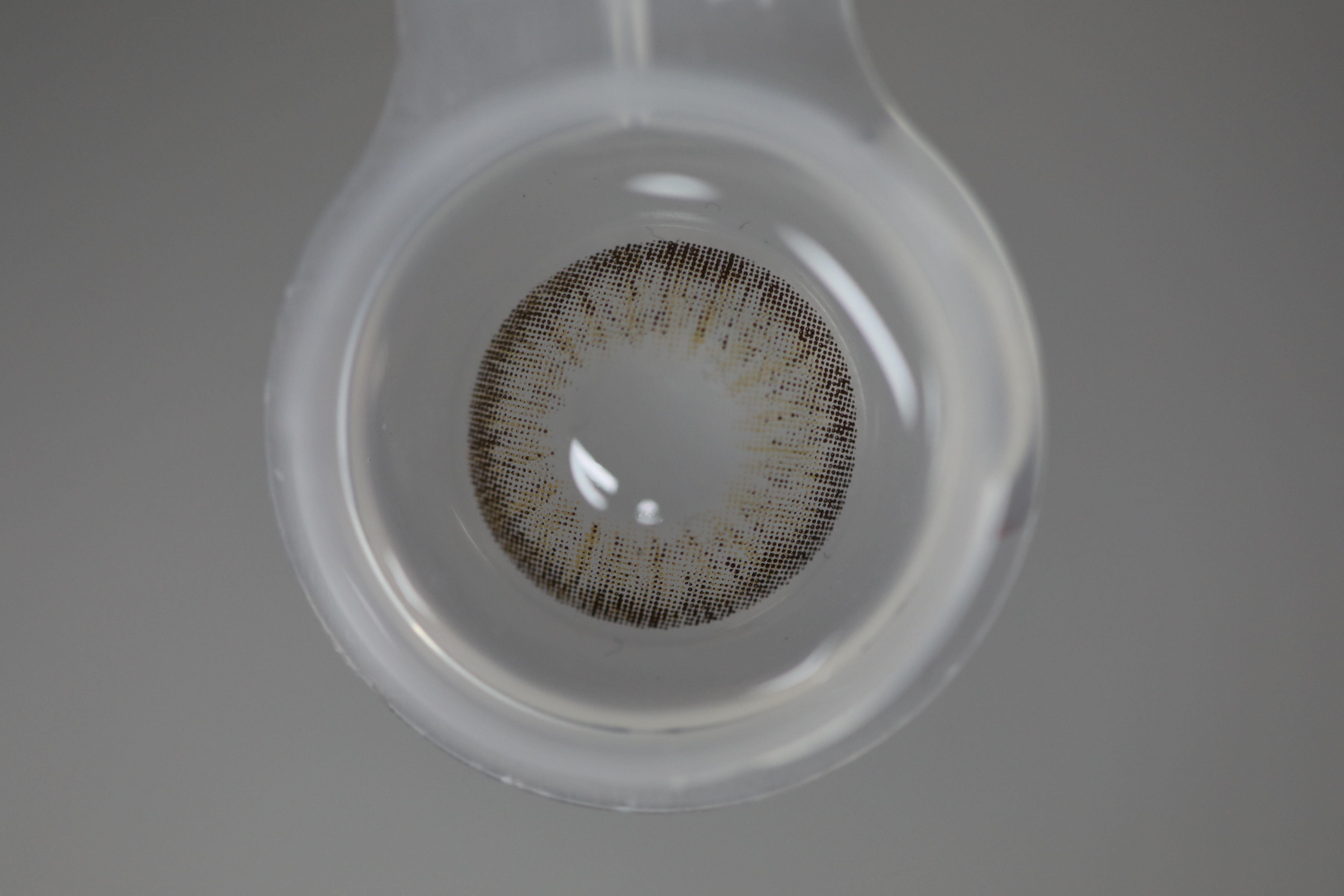 Hot Sale Half Year 6 Months Natural Brown Colored Contact Lens with Prescription