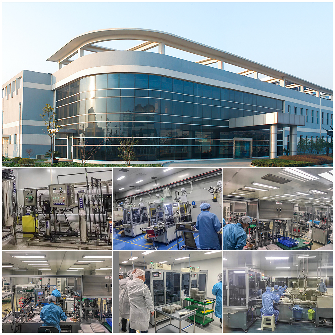 Company Profile