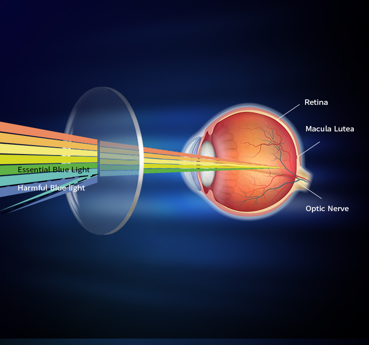 UV420 Optical Lens Details 4